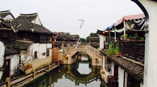 寻龙贺春 日照五莲花馍送祝福