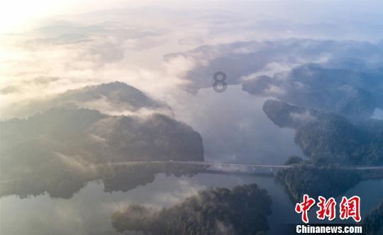 拯救精灵的土地5